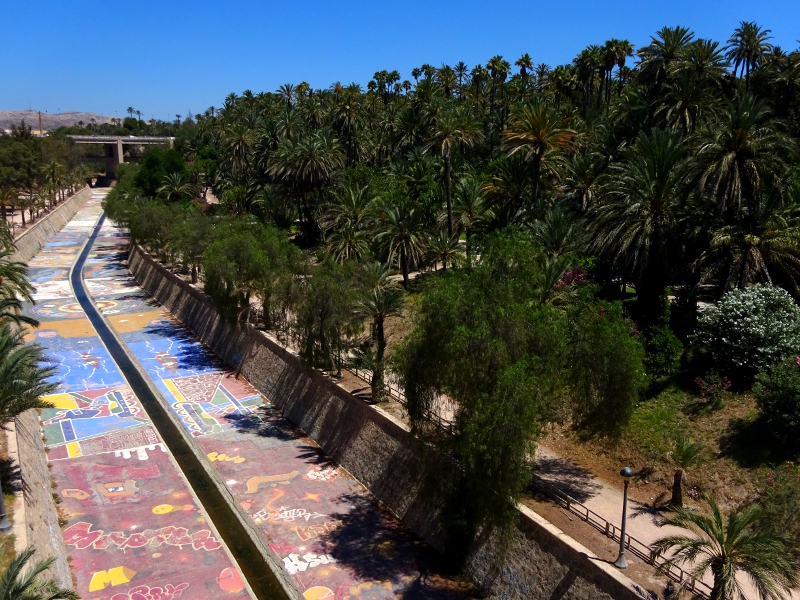 el palmeral painted riverbed and palm trees