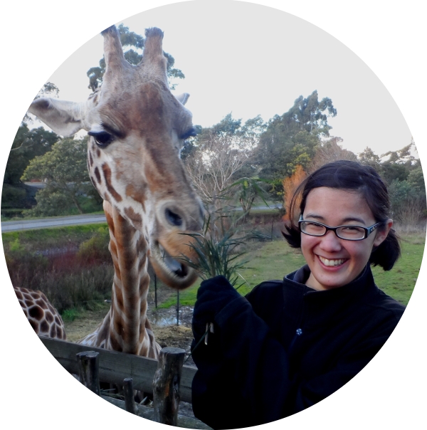 feeding giraffes at Orana Wildlife Park in Christchurch