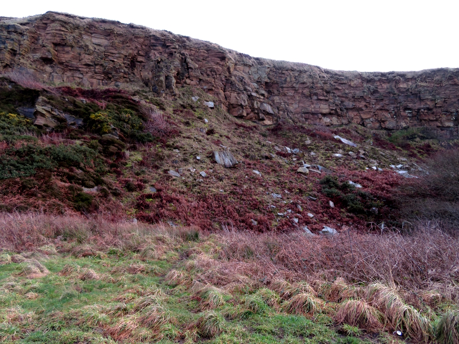 Carboniferous fossil collection site in Whitehaven