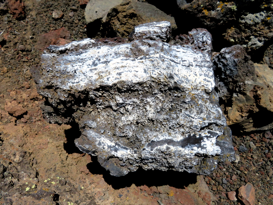 close up view of a lava rock at Craters of the Moon, Idaho