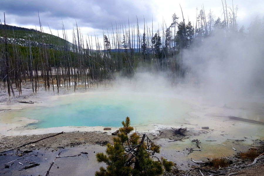 one of the many hotsprings at Yellowstone