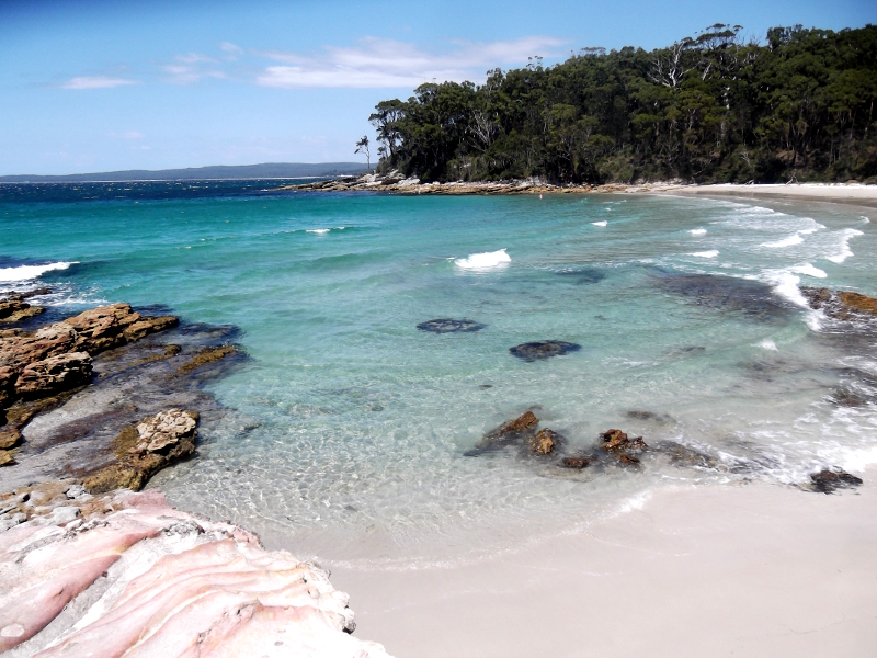 white sanded beach in Jervis Bay