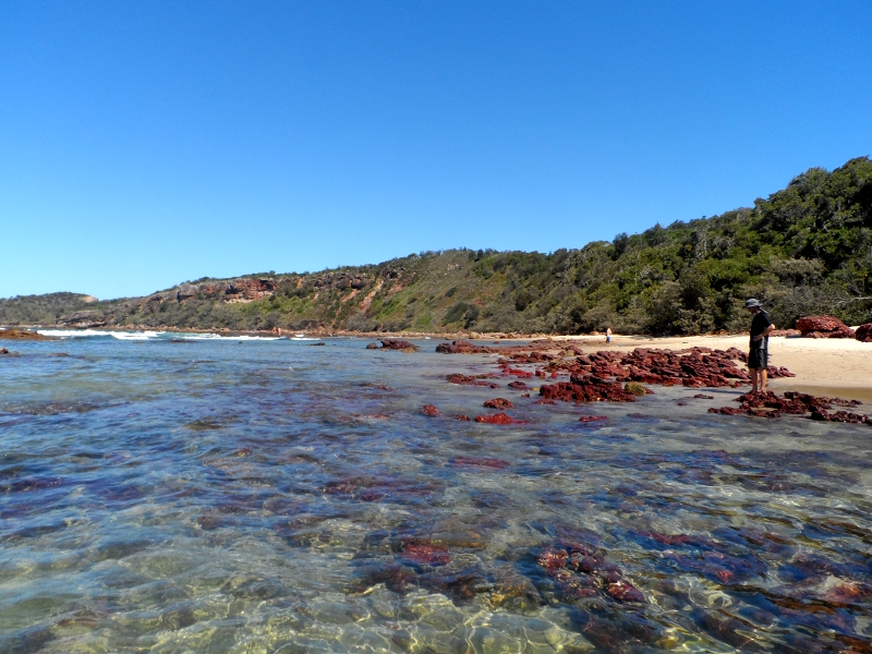 snorkeling spot in Laurieton, New South Wales